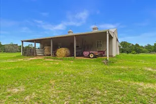 519 Beck Rd, Williston, SC 29853 - Photo 16