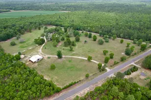519 Beck Rd, Williston, SC 29853 - Photo 44