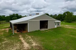 519 Beck Rd, Williston, SC 29853 - Photo 18