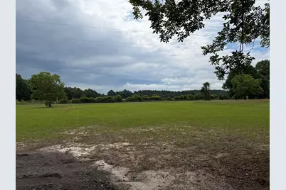 645 South Carolina 64, Olar, SC 29843 - Photo 6