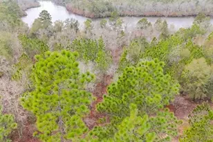 0 Browns Pond Rd, Wagener, SC 29164 - Photo 1