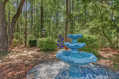 242 Windermere Way, Aiken, SC 29803 - Photo 40
