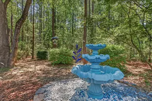 242 Windermere Way, Aiken, SC 29803 - Photo 40