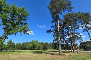 10886 Burtons Ferry Hwy, Allendale, SC 29810 - Photo 54