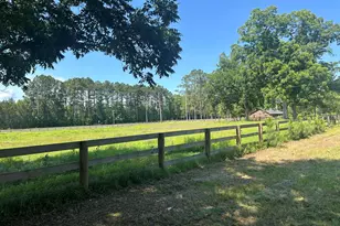 10886 Burtons Ferry Hwy, Allendale, SC 29810 - Photo 50