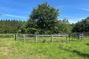 10886 Burtons Ferry Hwy, Allendale, SC 29810 - Photo 48