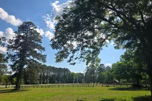 10886 Burtons Ferry Hwy, Allendale, SC 29810 - Photo 52
