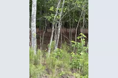 Lot A Cemetery Road, Elko, SC 29826 - Photo 1