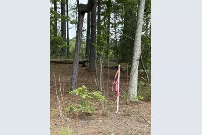 Lot A Cemetery Road, Elko, SC 29826 - Photo 4