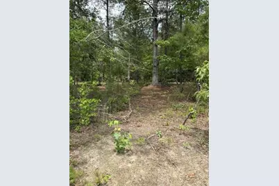 Lot A Cemetery Road, Elko, SC 29826 - Photo 6