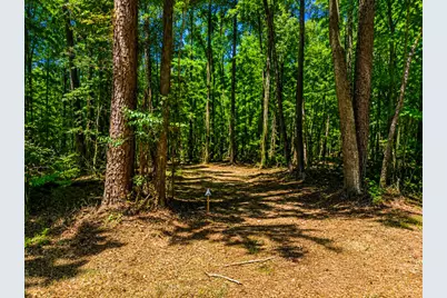 0 Partridge Road, Orangeburg, SC 29118 - Photo 6