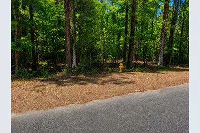 0 Partridge Road, Orangeburg, SC 29118 - Photo 4