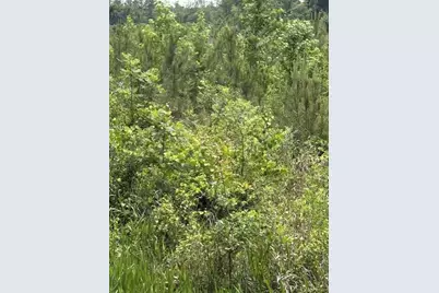 0 Texas Lane, Elko, SC 29826 - Photo 2