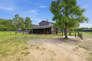 8520 Stock Horse Trl, Windsor, SC 29856 - Photo 80