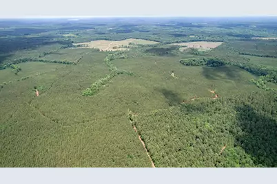 Tbd Pineywood Road #Tbd, Saluda, SC 29138 - Photo 2