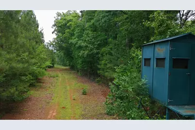 Tbd Pineywood Road #Tbd, Saluda, SC 29138 - Photo 14