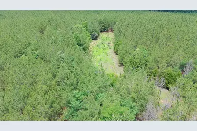 Tbd Pineywood Road #Tbd, Saluda, SC 29138 - Photo 12