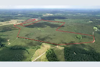 Tbd Pineywood Road #Tbd, Saluda, SC 29138 - Photo 4