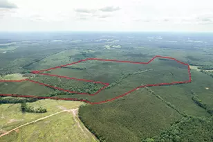 Tbd Pineywood Rd, Saluda, SC 29138 - Photo 1