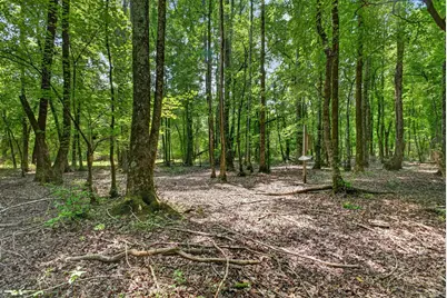 Tbd Pineywood Road #Tbd, Saluda, SC 29138 - Photo 10