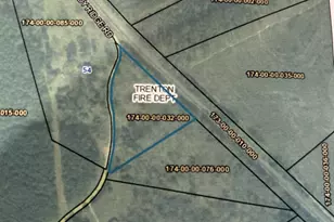 61 Windy Ridge Rd, Trenton, SC 29847 - Photo 1