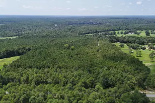 3320 Banks Mill Rd SE, Aiken, SC 29803 - Photo 6