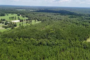 3320 Banks Mill Rd SE, Aiken, SC 29803 - Photo 8