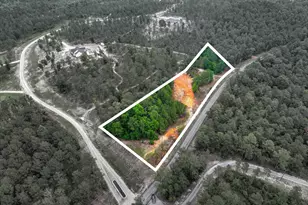 0000 Mt Zion Rd, Trenton, SC 29847 - Photo 1