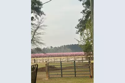 1412 McCreight Road, Ridge Spring, SC 29129 - Photo 34