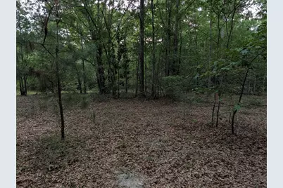 285 Garvin Drive, Wagener, SC 29164 - Photo 12