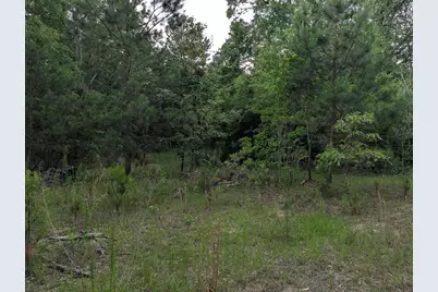 285 Garvin Drive, Wagener, SC 29164 - Photo 8