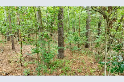 341 Huntington Court, Aiken, SC 29803 - Photo 18