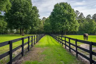 500 Burkelo Rd, Wagener, SC 29164 - Photo 58