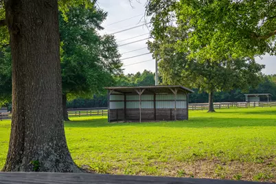 500 Burkelo Road, Wagener, SC 29164 - Photo 66
