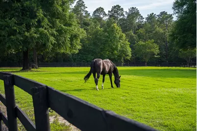 500 Burkelo Road, Wagener, SC 29164 - Photo 8