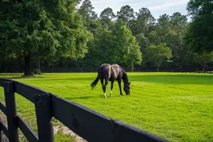 500 Burkelo Rd, Wagener, SC 29164 - Photo 8