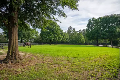 500 Burkelo Road, Wagener, SC 29164 - Photo 60