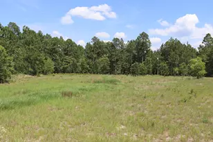 806 State Park Rd, Windsor, SC 29856 - Photo 6
