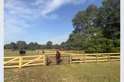 601 Bethcar Church Road, Wagener, SC 29164 - Photo 14