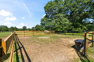 601 Bethcar Church Rd, Wagener, SC 29164 - Photo 30