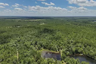 1366 Cummings Rd, Ridge Spring, SC 29129 - Photo 66