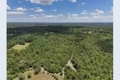 1366 Cummings Road, Ridge Spring, SC 29129 - Photo 64
