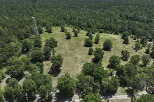 1366 Cummings Rd, Ridge Spring, SC 29129 - Photo 70