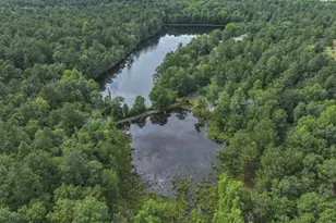 1366 Cummings Rd, Ridge Spring, SC 29129 - Photo 76