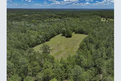 1366 Cummings Road, Ridge Spring, SC 29129 - Photo 68
