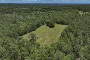 1366 Cummings Rd, Ridge Spring, SC 29129 - Photo 68