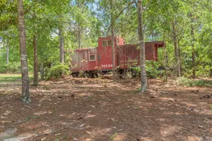 1366 Cummings Rd, Ridge Spring, SC 29129 - Photo 50