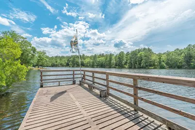 1366 Cummings Road, Ridge Spring, SC 29129 - Photo 46