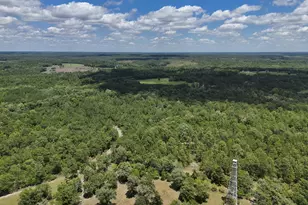 1366 Cummings Rd, Ridge Spring, SC 29129 - Photo 64
