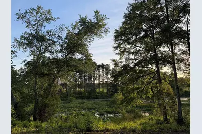 Lot 16 Reeves Street, Aiken, SC 29805 - Photo 14
